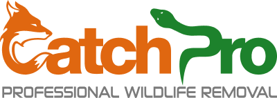CatchPro Wildlife Removal